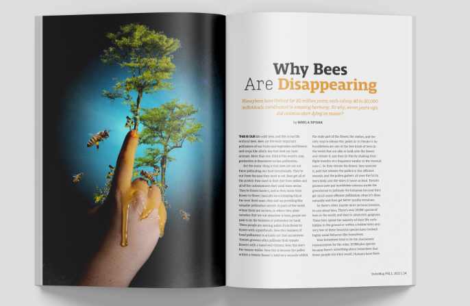 Magazine spread showing a hand covered in honey growing trees with bees flocking around it, paired with the article 'Why Bees are Disappearing