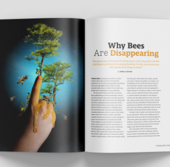 Magazine spread with article 'Why Bees are Disappearing displayed